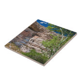 Carreau USA, Arizona. Le Château De Montezuma, Les Ruines (Côté)