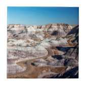 Carreau USA, Arizona, Parc national de la forêt pétrifiée (Devant)