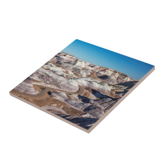 Carreau USA, Arizona, Parc national de la forêt pétrifiée (Côté)