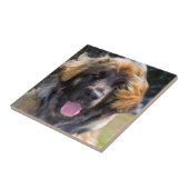 Carreau USA, Californie. Portrait De Leonberger Assis (Côté)