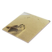 Carreau USA, Hawaii, Maui, Makena Beach, Footprint et (Côté)