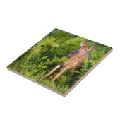 Carreau USA, Minnesota, Sandstone, Minnesota Wildlife 10 (Côté)