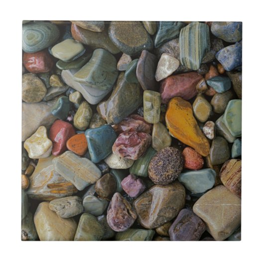 Carreau USA, Montana, Glacier National Park, Stones (Devant)