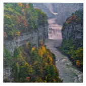 Carreau USA, New York, Letchworth State Park. et (Devant)