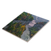 Carreau USA, New York, Letchworth State Park. et (Côté)