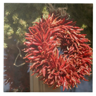 Carreau USA, Nouveau Mexique, Père Noël Fe : Centre-vill