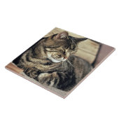 Carreau USA, Utah, Capitol Reef NP. Tablette dormante (Côté)