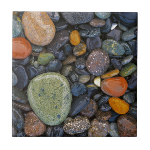 Carreau USA, Washington, Lopez Island, Agate Beach