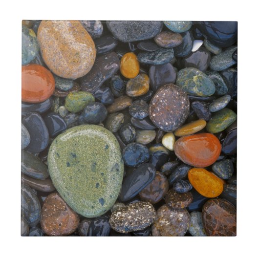 Carreau USA, Washington, Lopez Island, Agate Beach (Devant)