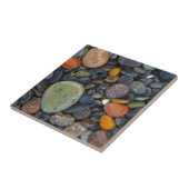 Carreau USA, Washington, Lopez Island, Agate Beach (Côté)