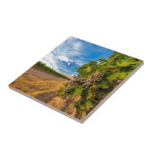 Carreau USA, Washington, Yakima Valley. Raisins de Merlot (Côté)