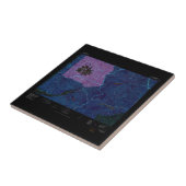 Carreau USGS Topo Map Washington State WA Mount Rainier 24 (Côté)