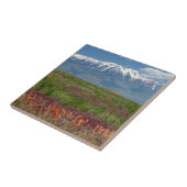 Carreau Utah, USA. Le Mont Timpanogos s'élève au-dessus (Côté)