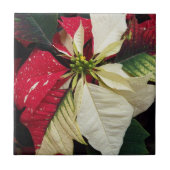 Carreau Vacances florales de Poinsettia variées (Devant)