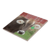 Carreau Vache à Suisse Brown (Côté)