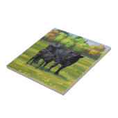 Carreau Vache d'Angus noir et veau mou en pâturage d'été (Côté)