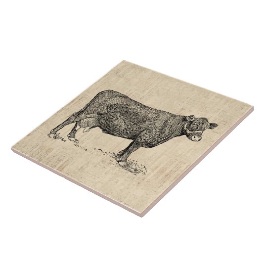 Carreau Vache de campagne illustrée (Côté)