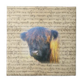Carreau Vache de Highland (Devant)