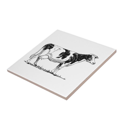 Carreau Vache du Holstein (Côté)