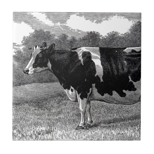 Carreau Vache laitière vintage (Devant)