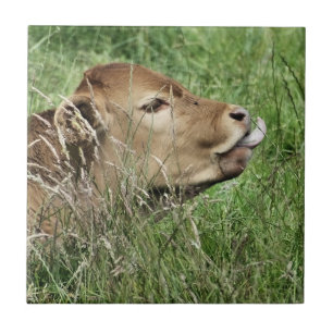 CARREAU VACHE MIGNONNE