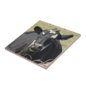 Carreau Vache noire (Côté)