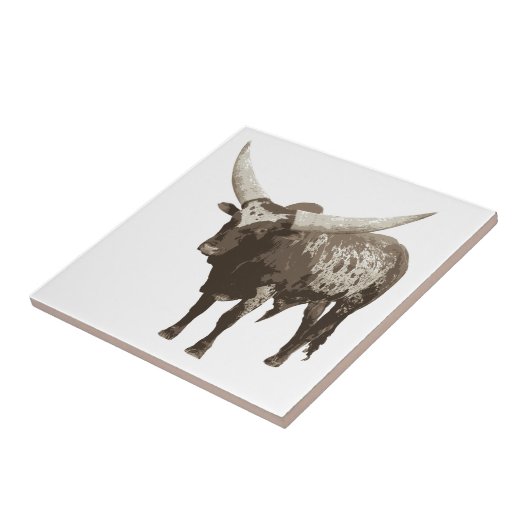 Carreau Vache Watusi (Côté)