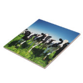 Carreau Vaches dans le domaine, ville de Betsukai, (Côté)