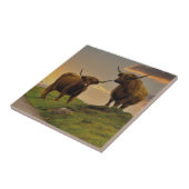 Carreau Vaches Highland au coucher du soleil (Côté)