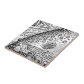 Carreau Vagabond de Flammarions (Côté)