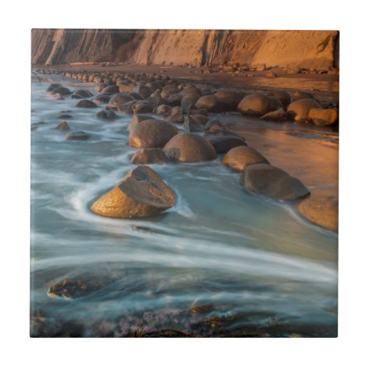 Carreau Vague le long de la plage, Californie (Devant)