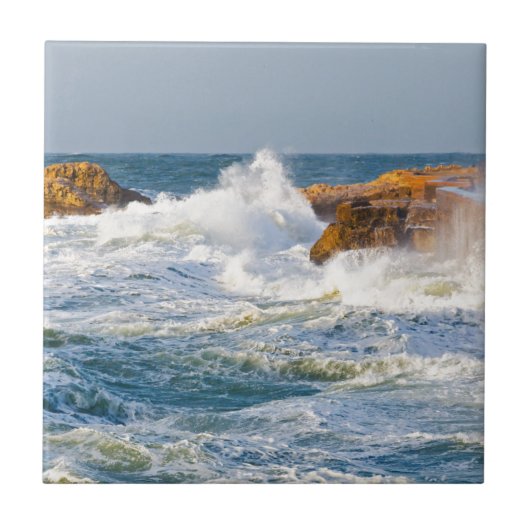 Carreau Vagues de mer (Devant)