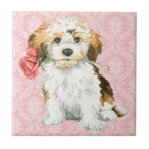 Carreau Valentine Havanese rose