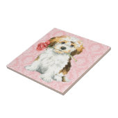 Carreau Valentine Havanese rose (Côté)