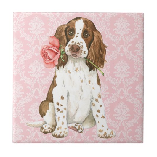 Carreau Valentine Rose Anglais Springer (Devant)
