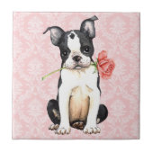 Carreau Valentine Rose Boston Terrier (Devant)