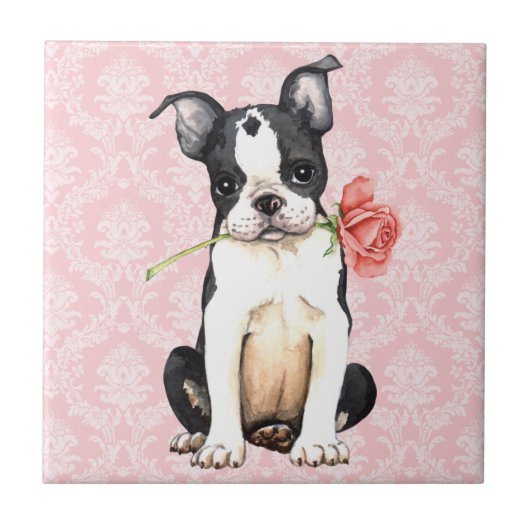 Carreau Valentine Rose Boston Terrier (Devant)