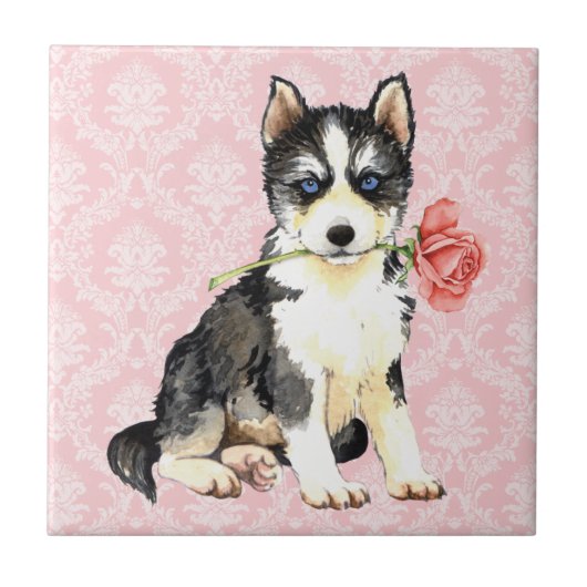 Carreau Valentine Rose Husky (Devant)