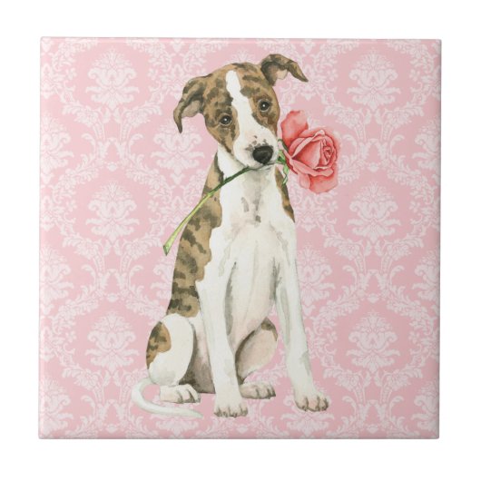 Carreau Valentine Rose Whippet (Devant)