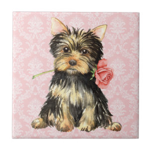 Carreau Valentine Yorkie rose