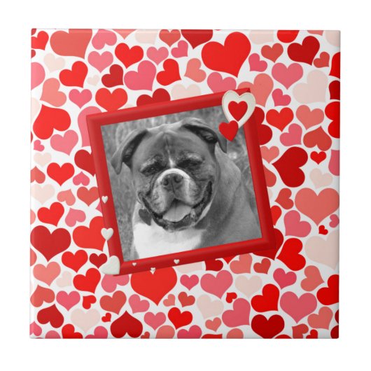 Carreau Valentines Boxer Chien Coeurs (Devant)