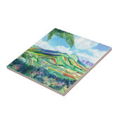 Carreau Vallée de Hanalei (Côté)