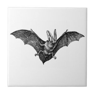 Carreau Vampire gothique de chauve-souris vintage