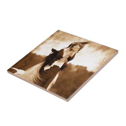 Carreau Vanner gitan (Côté)