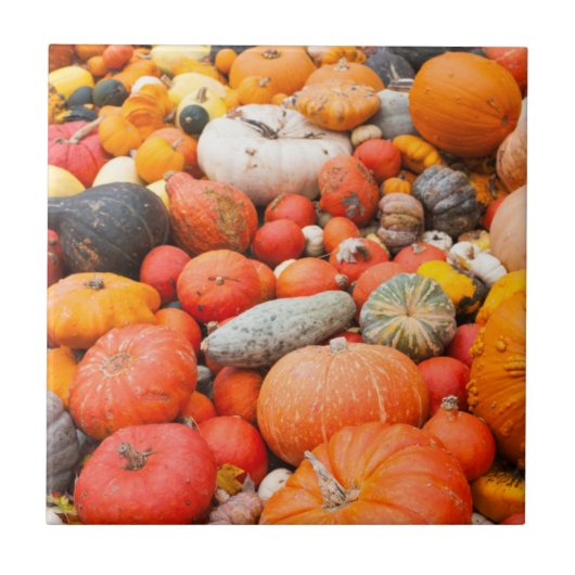 Carreau Variété de courge à vendre, Allemagne (Devant)