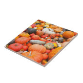Carreau Variété de courge à vendre, Allemagne (Côté)