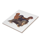 Carreau Variétés de Dachshund (Côté)