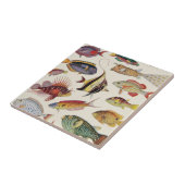 Carreau Variétés de poissons (Côté)