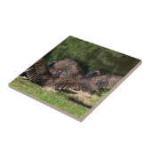 Carreau Vautours de Turquie avec les ailes répandues (Côté)