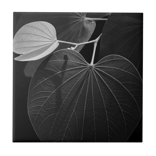 Carreau Veines d'une feuille (Devant)